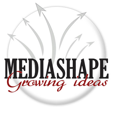 Mediashape.it - CMS, Web engineering, Webdesign